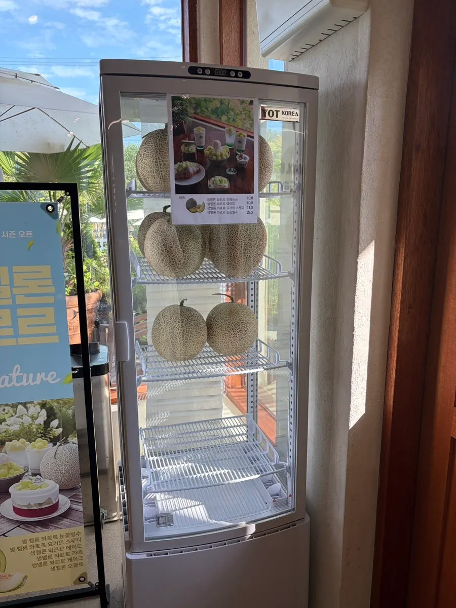 Fresh melons displayed in the fridge