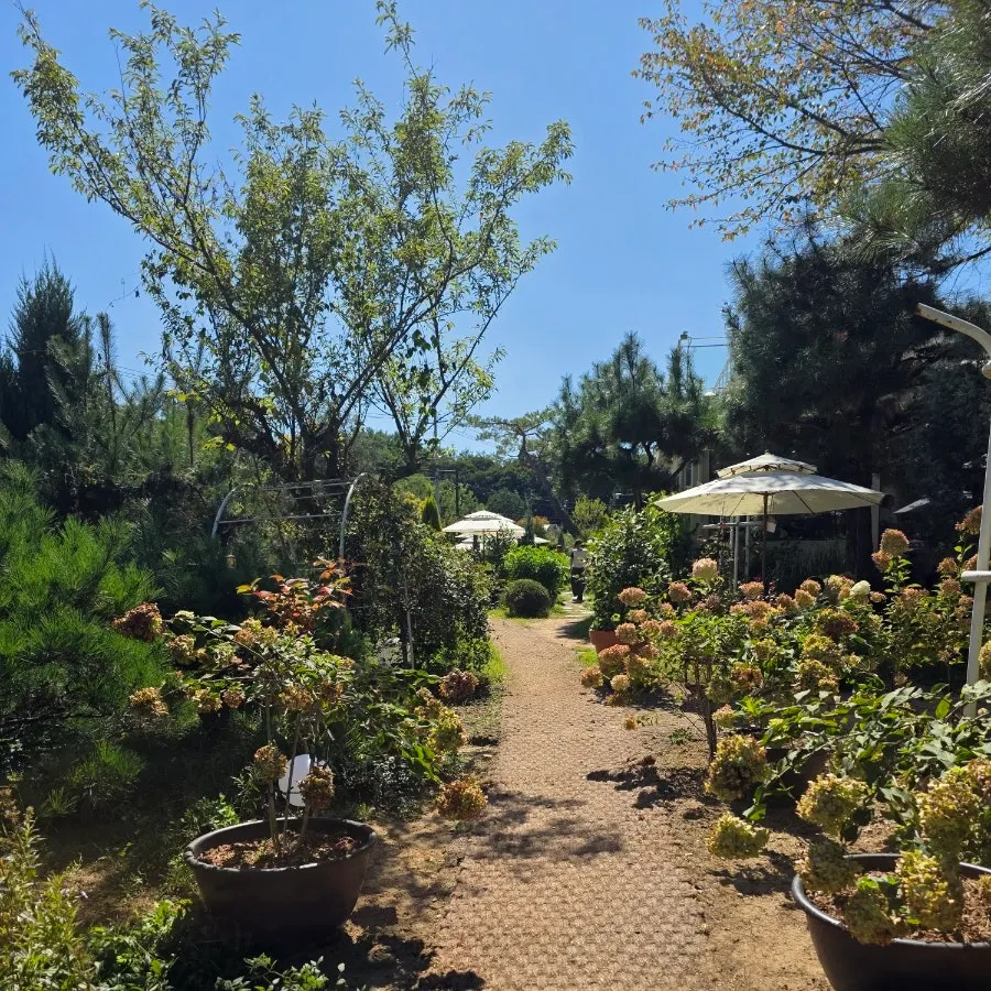 Outdoor café space with garden props and benches