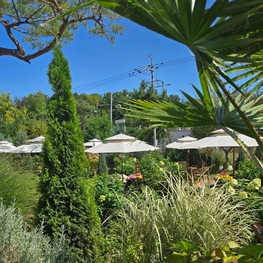 Baedagol Bakery House's garden scenery, like a secret garden