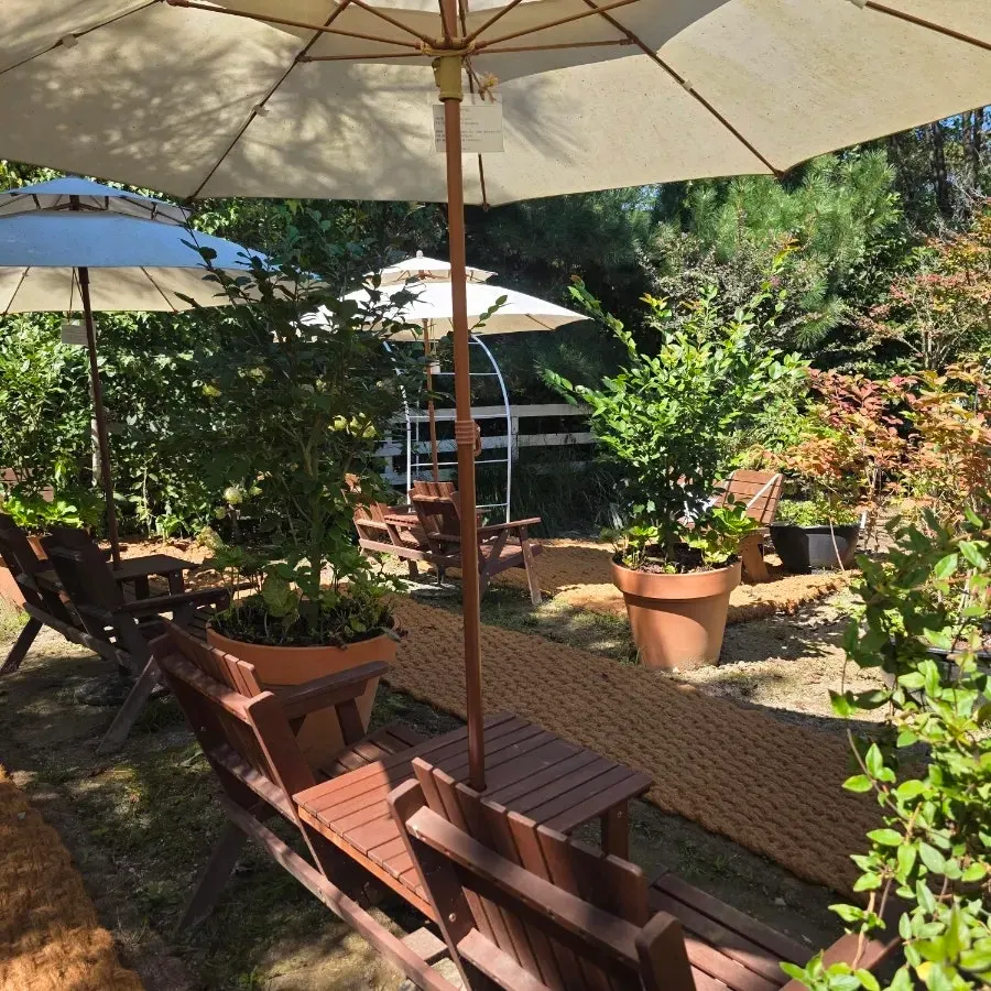 Natural scenery viewed from a garden bench