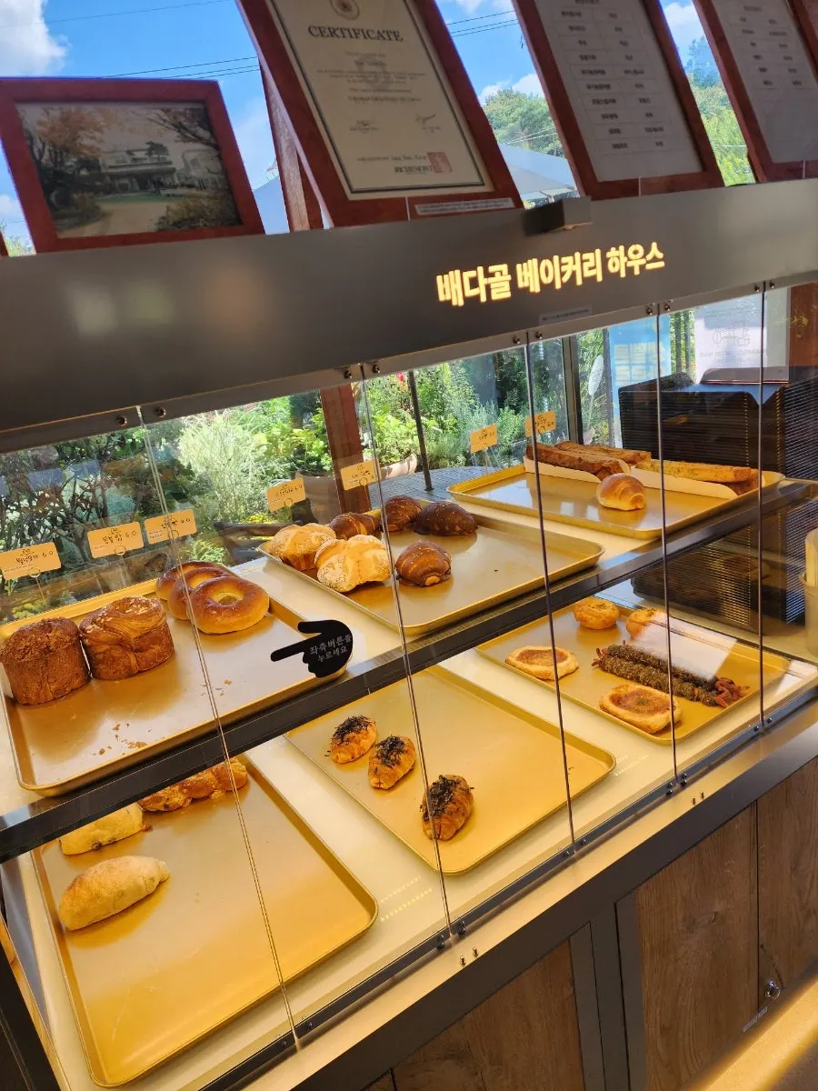 Bread and cake purchased at Baedagol Bakery House
