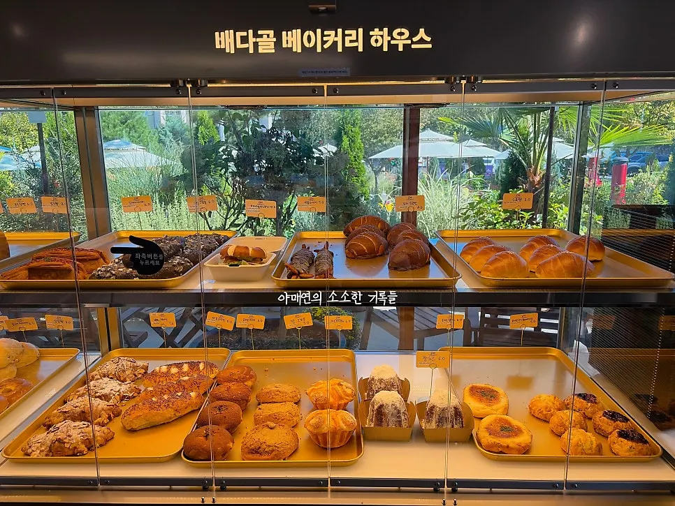 배다골베이커리하우스 빵 진열대