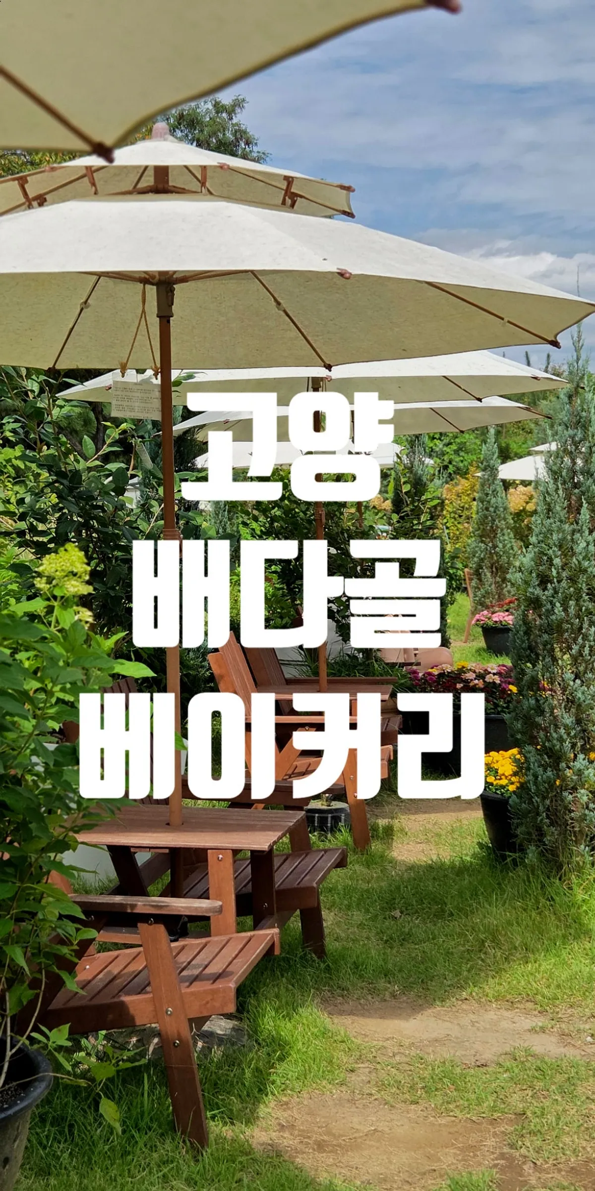 배다골베이커리하우스 야외정원과 본관 외관