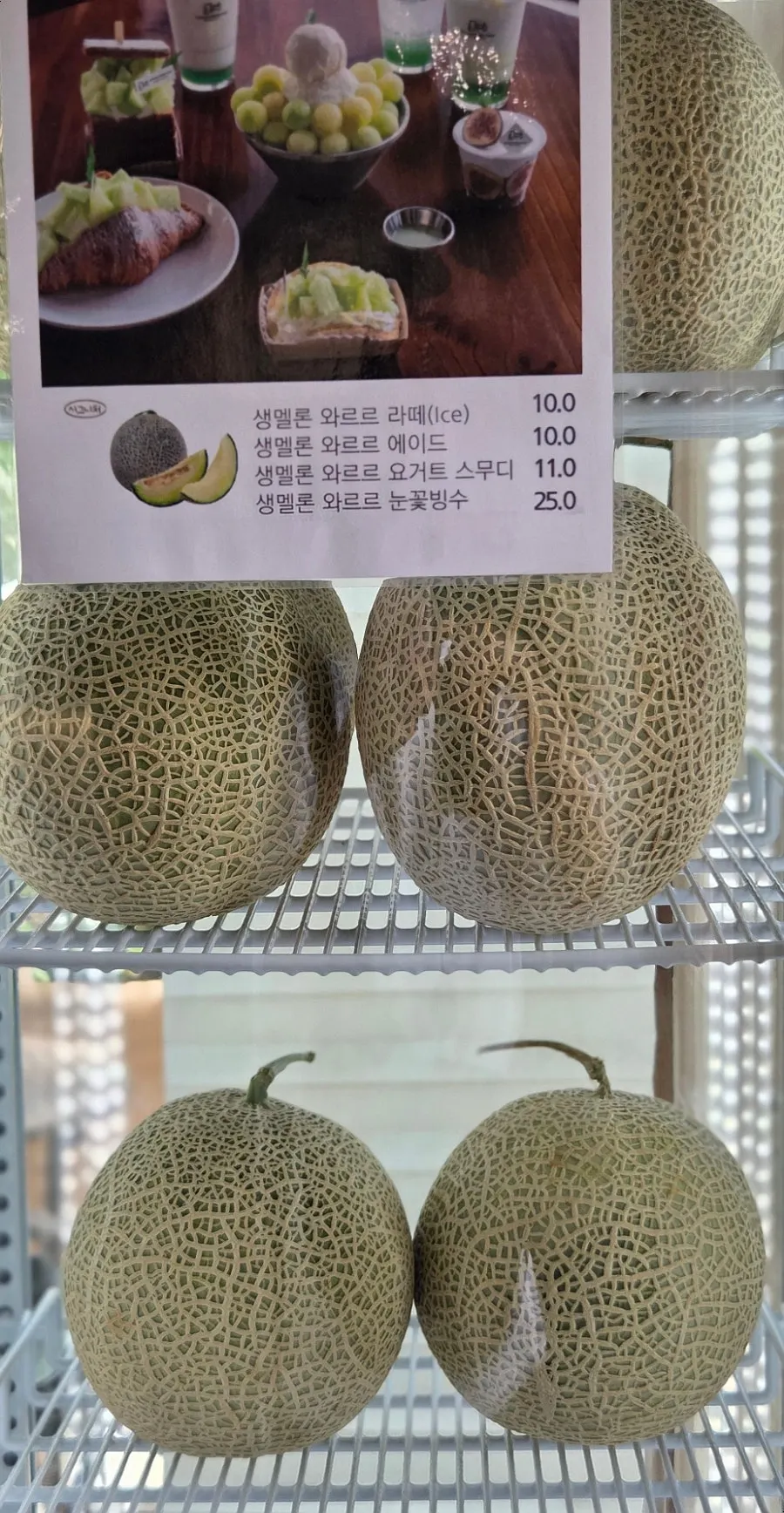 카운터 한켠에 진열된 생 멜론