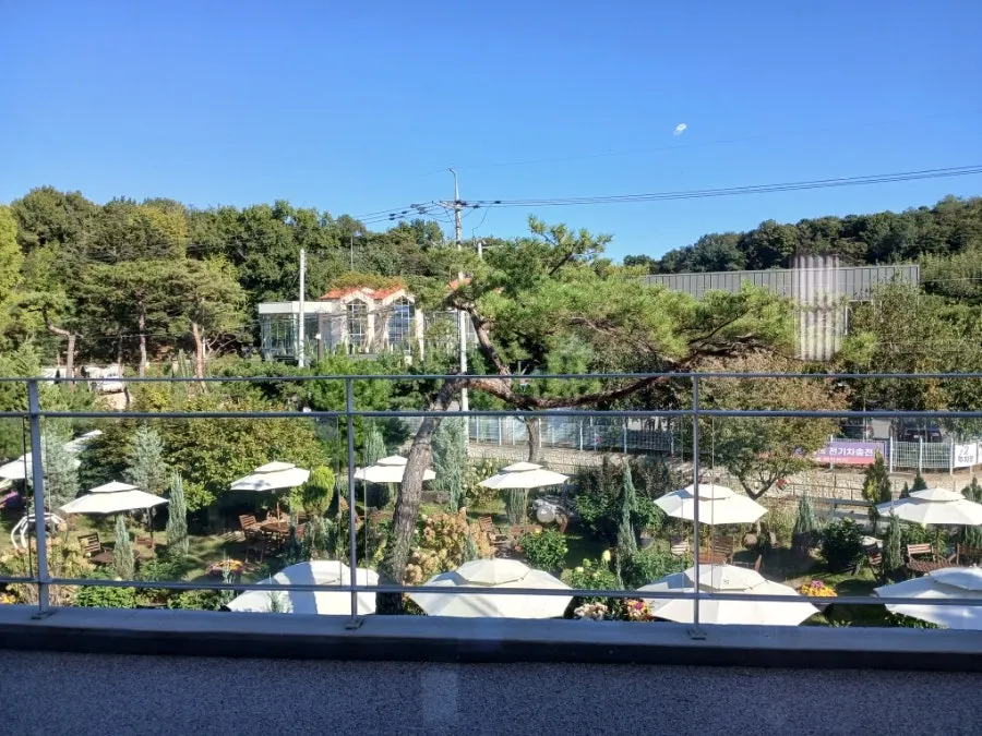 배다골베이커리하우스 실내 좌석