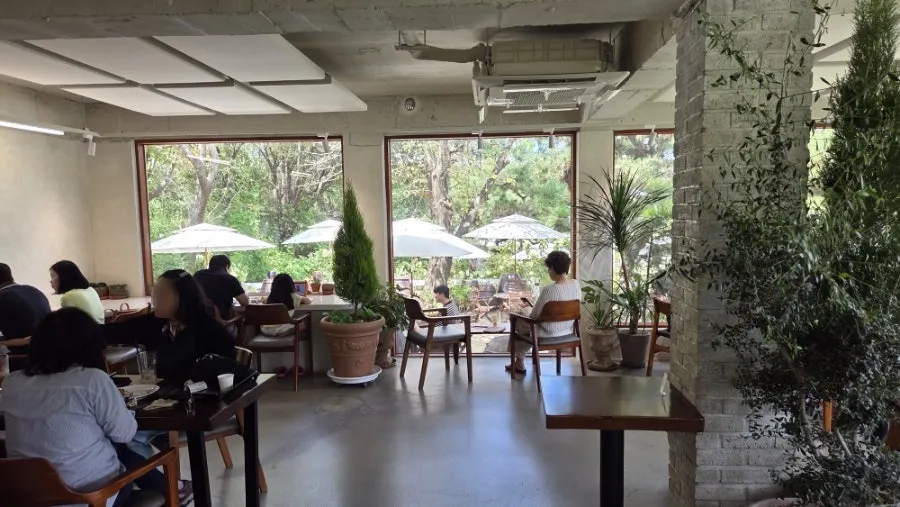 Garden scenery at Baedagol Bakery House