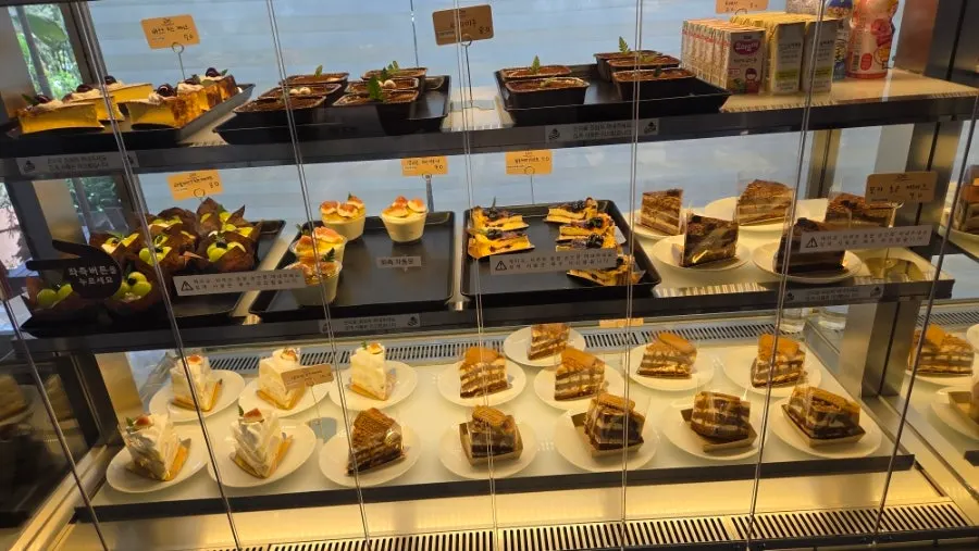 A display case of various breads at Baedagol Bakery House