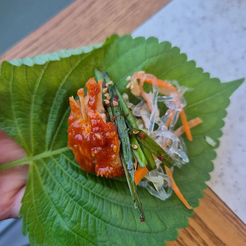 Cabbage, onion, and green onion in the braised ribs