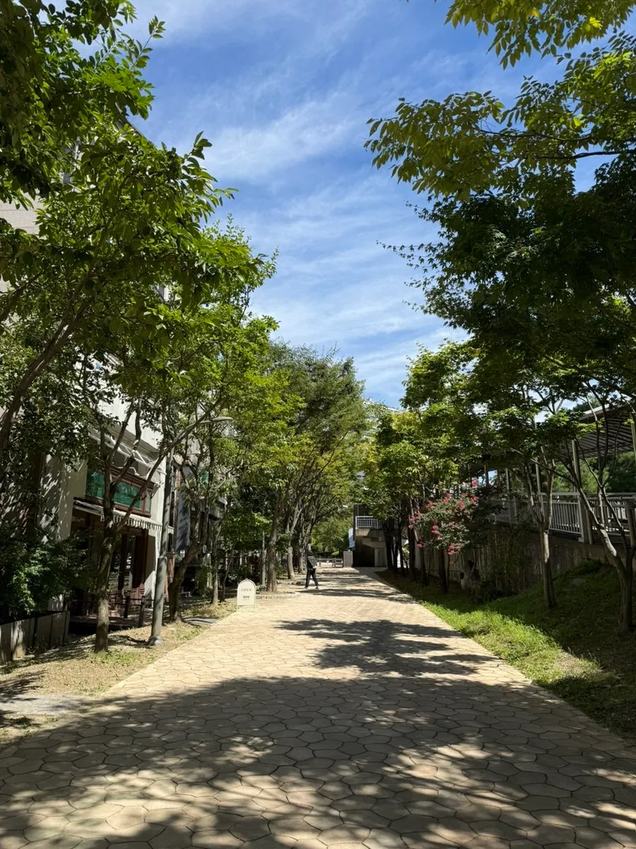 Wide view of the Dongbaek park, nice for a walk after eating