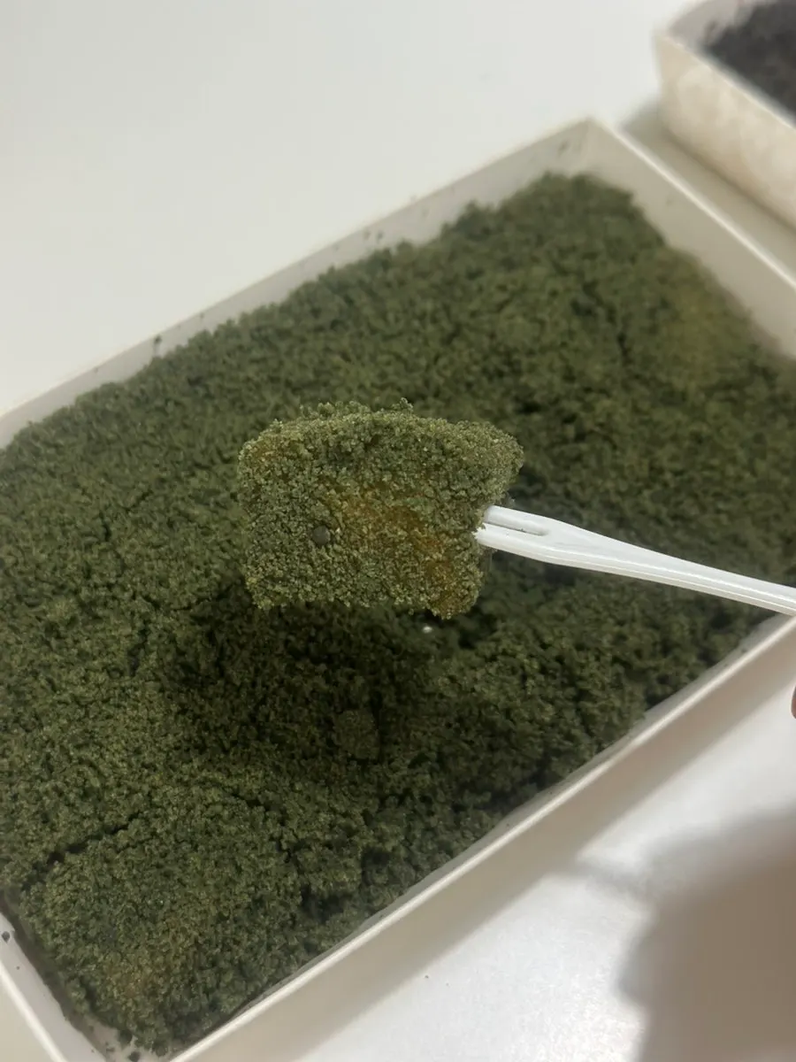 Mugwort hoddeok cut into bite-sized pieces