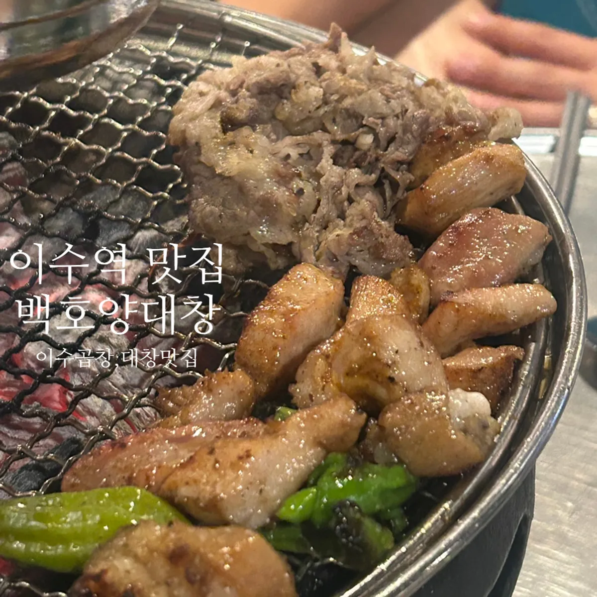 Charcoal-grilled gopchang at Baekho Yangdaechang near Isu Station