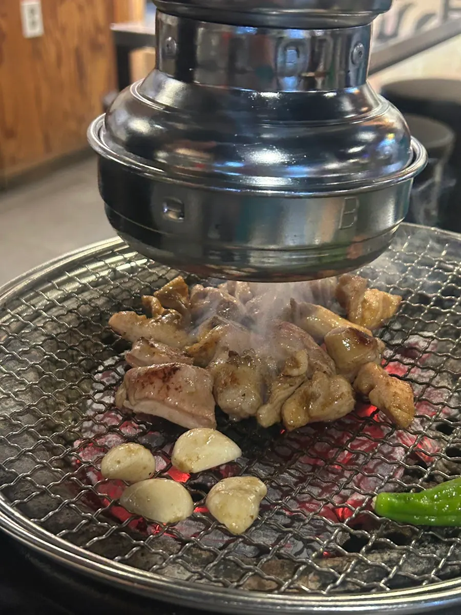A grilled piece from the mixed platter, by cut