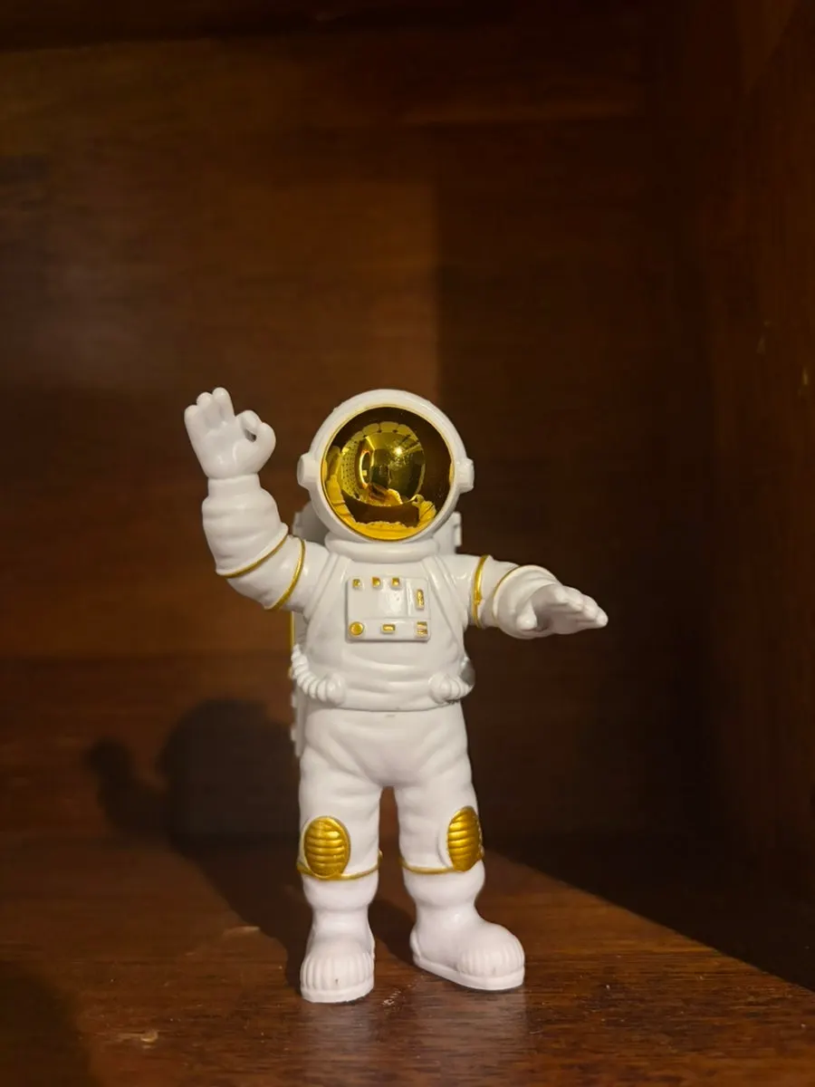 Astronaut figurines placed in the bathroom