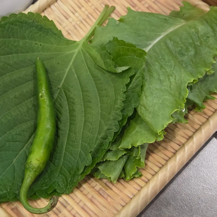 셀프바의 상추 깻잎 고추 쌈야채