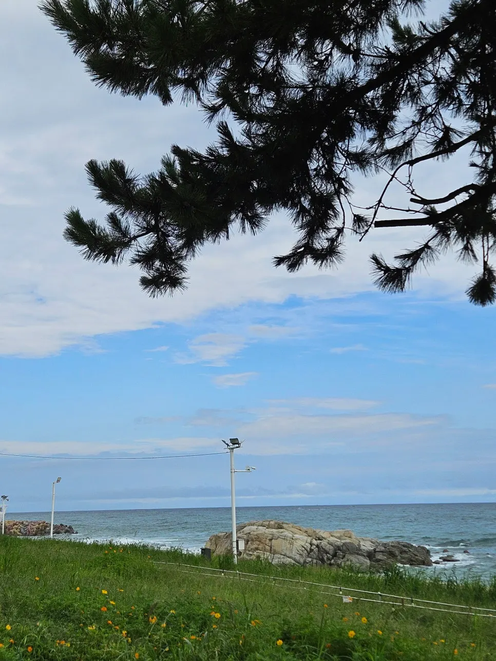 Exterior of Baegya Coffee building in front of Sageunjin Beach