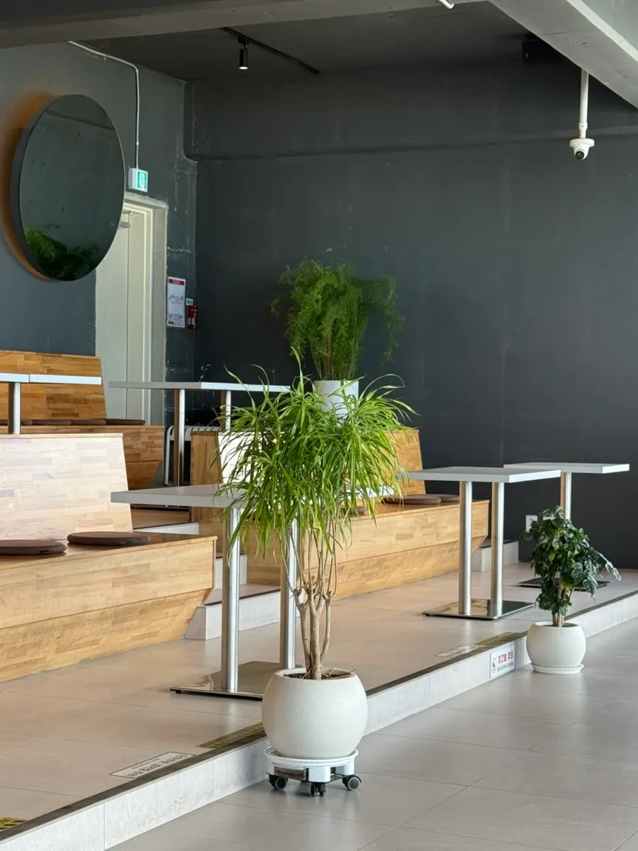 A cozy interior corner of Baegya Coffee