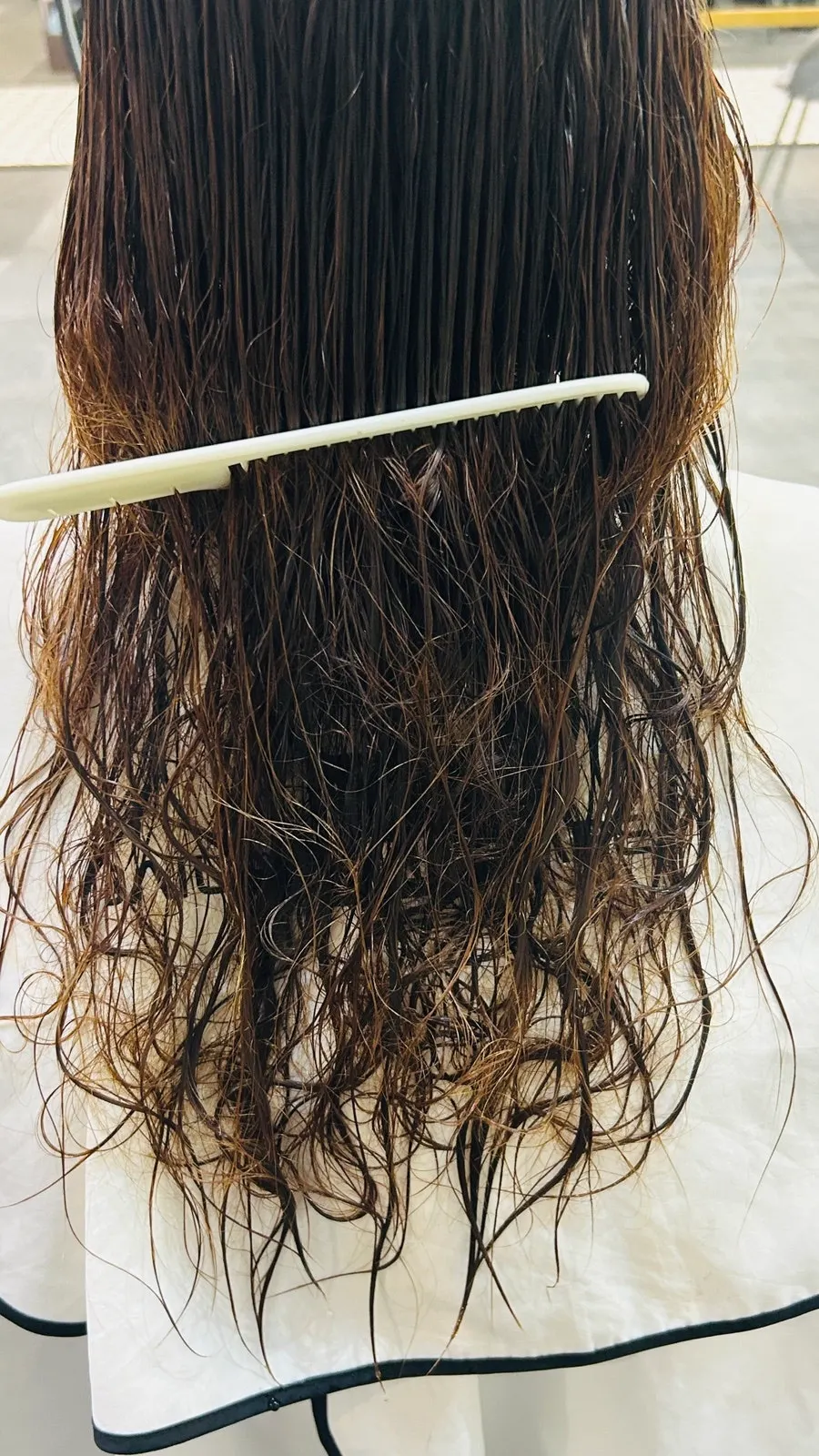 Damaged long hair before shampooing