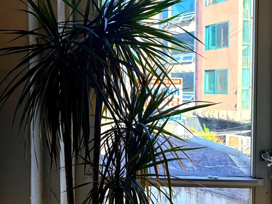 Detail of Bakerist Brown's café exterior