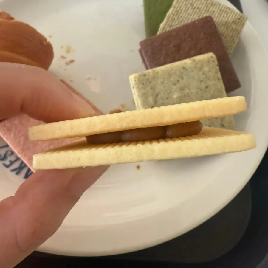 꾸덕한 필링이 보이는 강남샌드 클로즈업