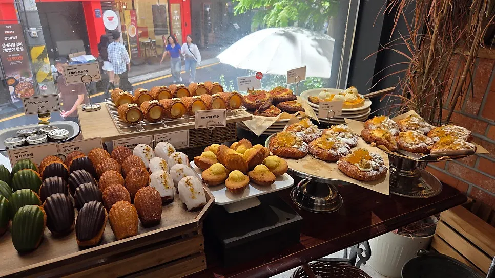 Bakery case displaying many kinds of bread