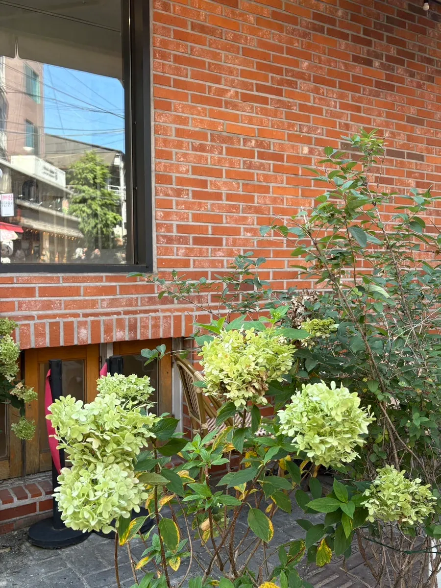Small outdoor space beside the café entrance