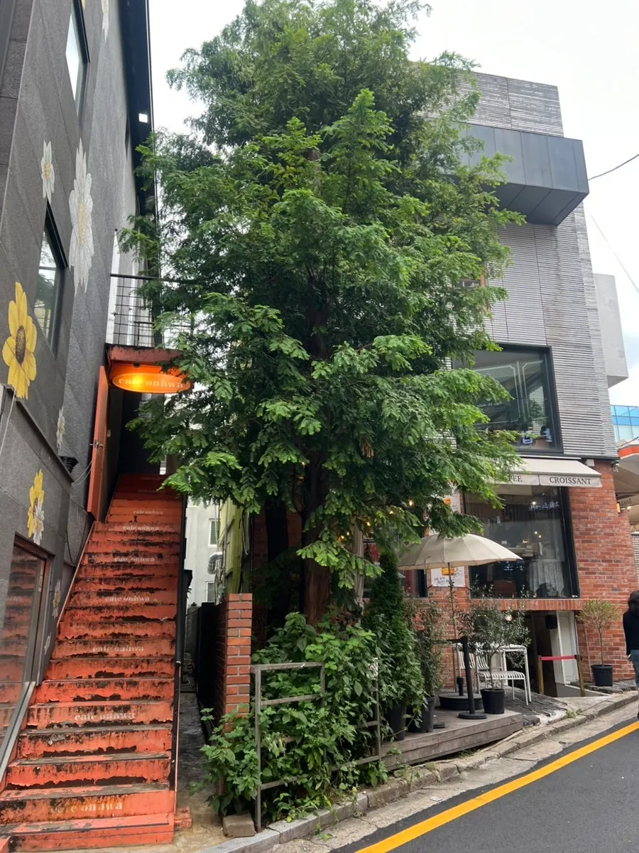 Exterior of Bakerist Brown, a bakery café near the Gangnam Station CGV alley