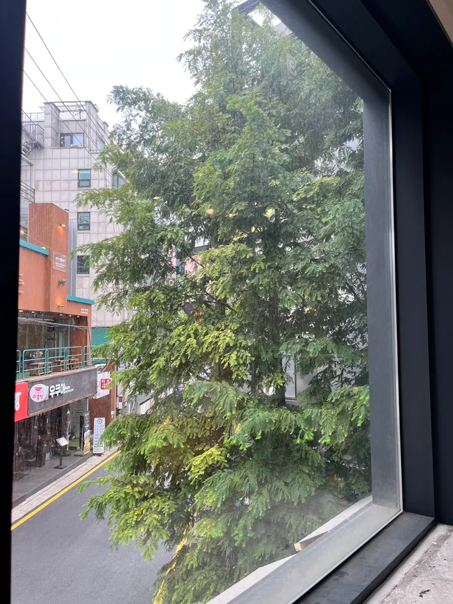 Window sofa seat on the 2nd floor with a tree visible outside