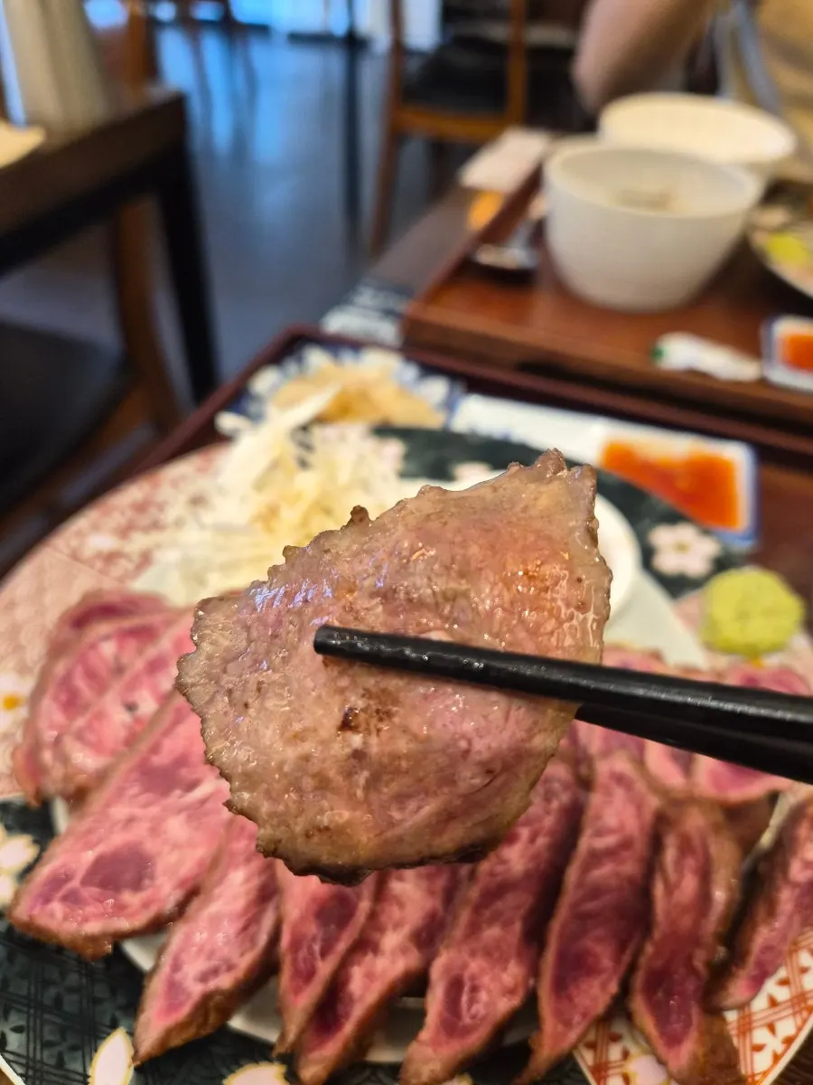 Steki dipped in sauce alongside a bowl of rice