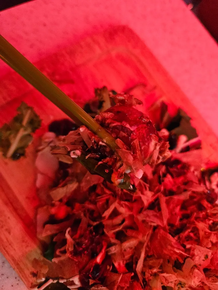 Takoyaki set for enjoying something light