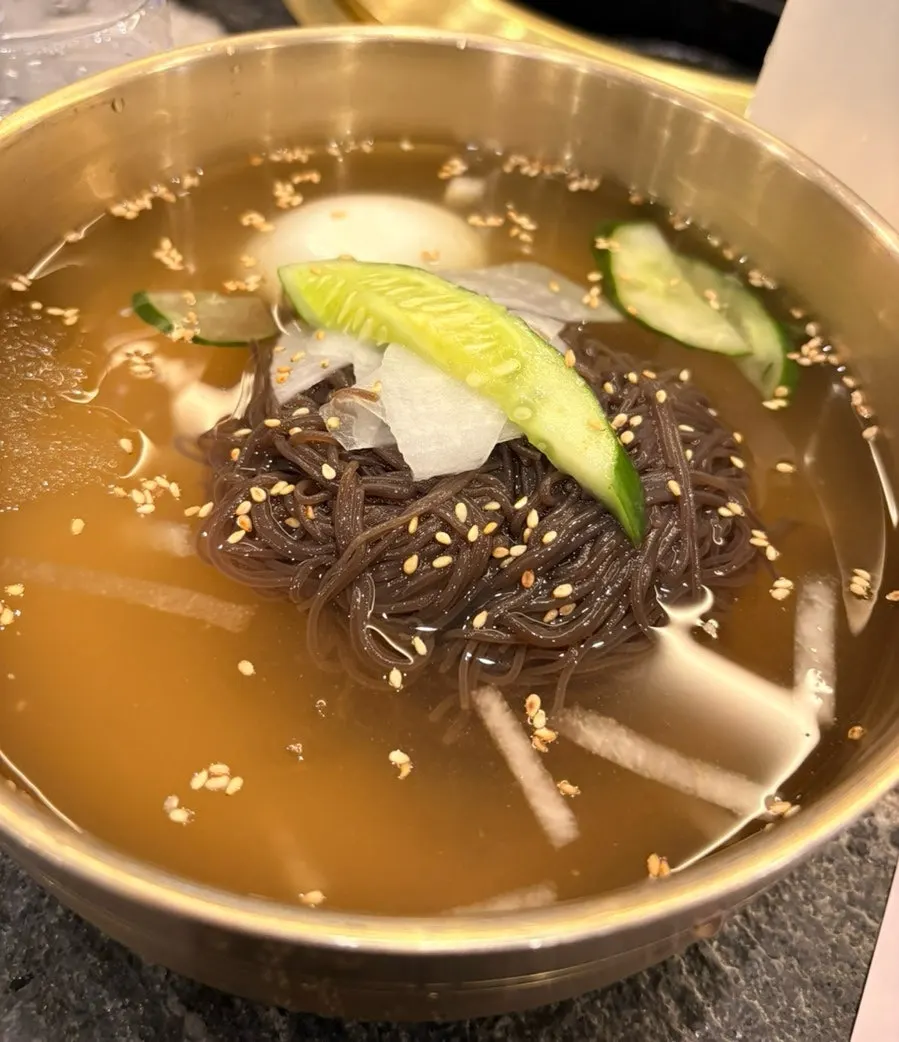 살얼음 육수의 물냉면