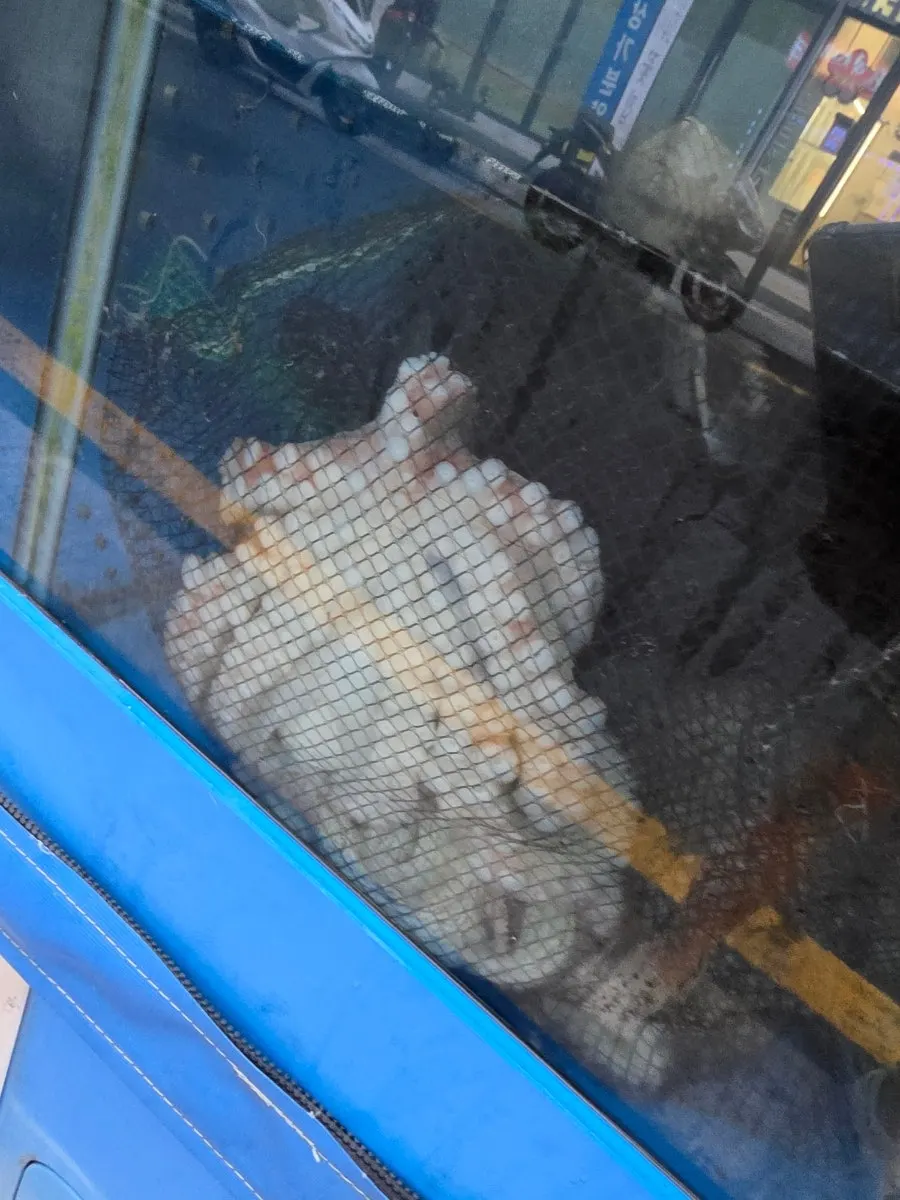 문어천하 방문 당일 가게 전경