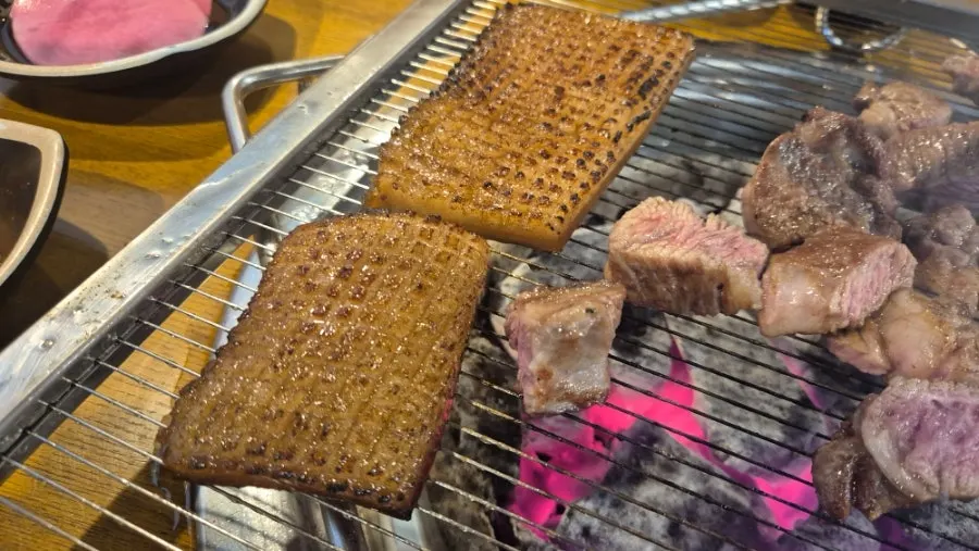 칼집이 촘촘히 들어간 칼집껍데기