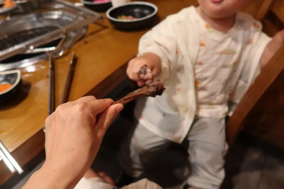 양갈비 뼈로 하는 아이 놀이