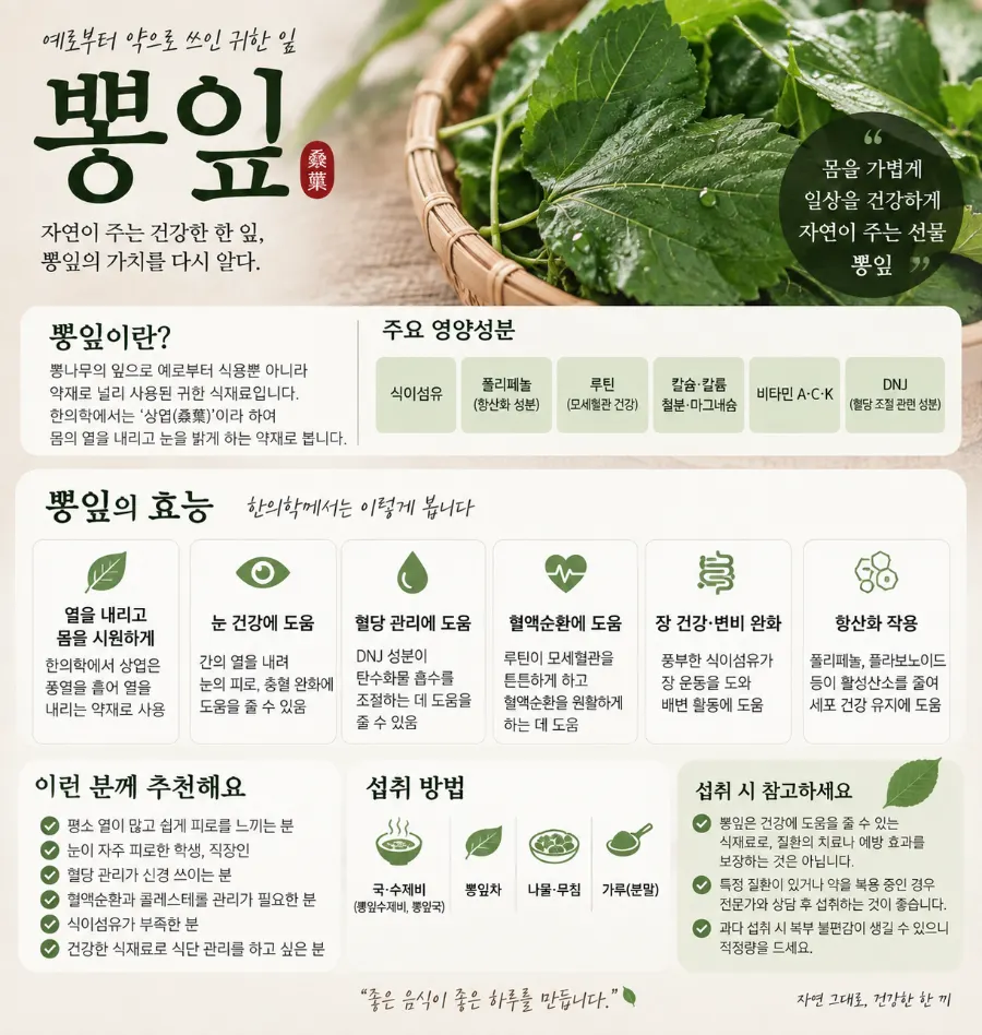 Mulberry-leaf teolleigi sujebi guide