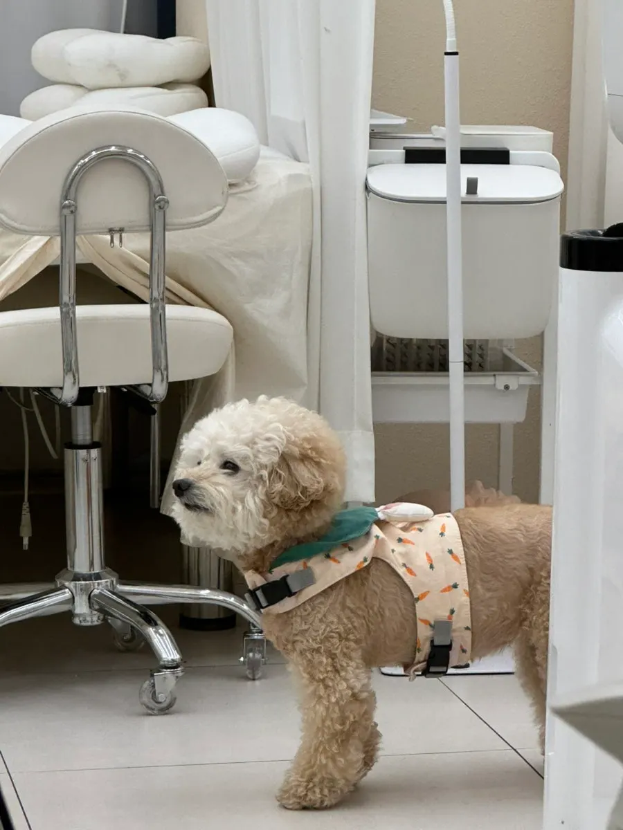 Clean, tidy treatment room at Vanny Shop