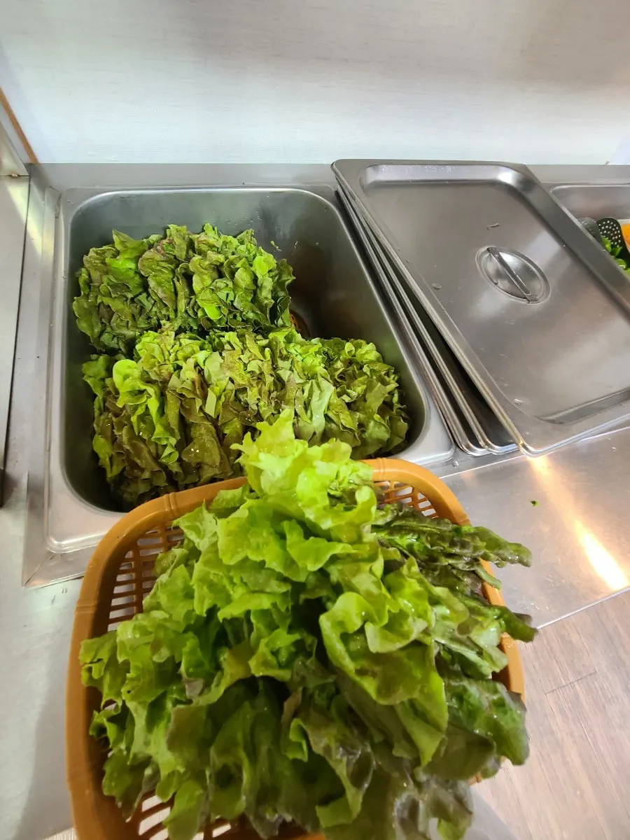 Self-serve wrap vegetables, lettuce and peppers