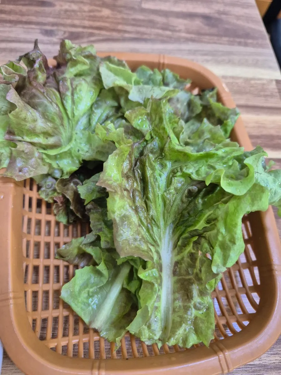 직화 석갈비를 먹는 식사 장면