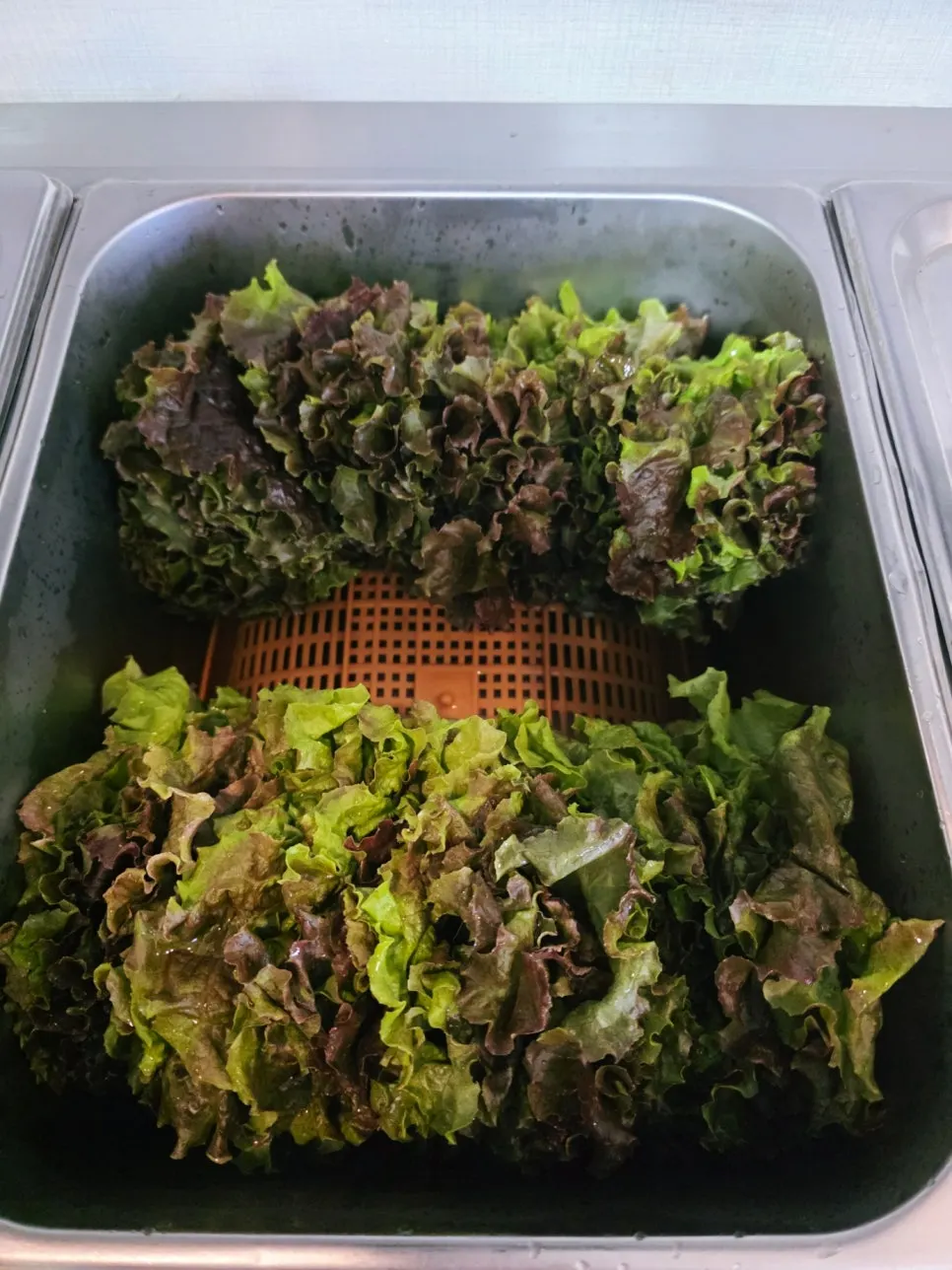 Self-serve bar for lettuce