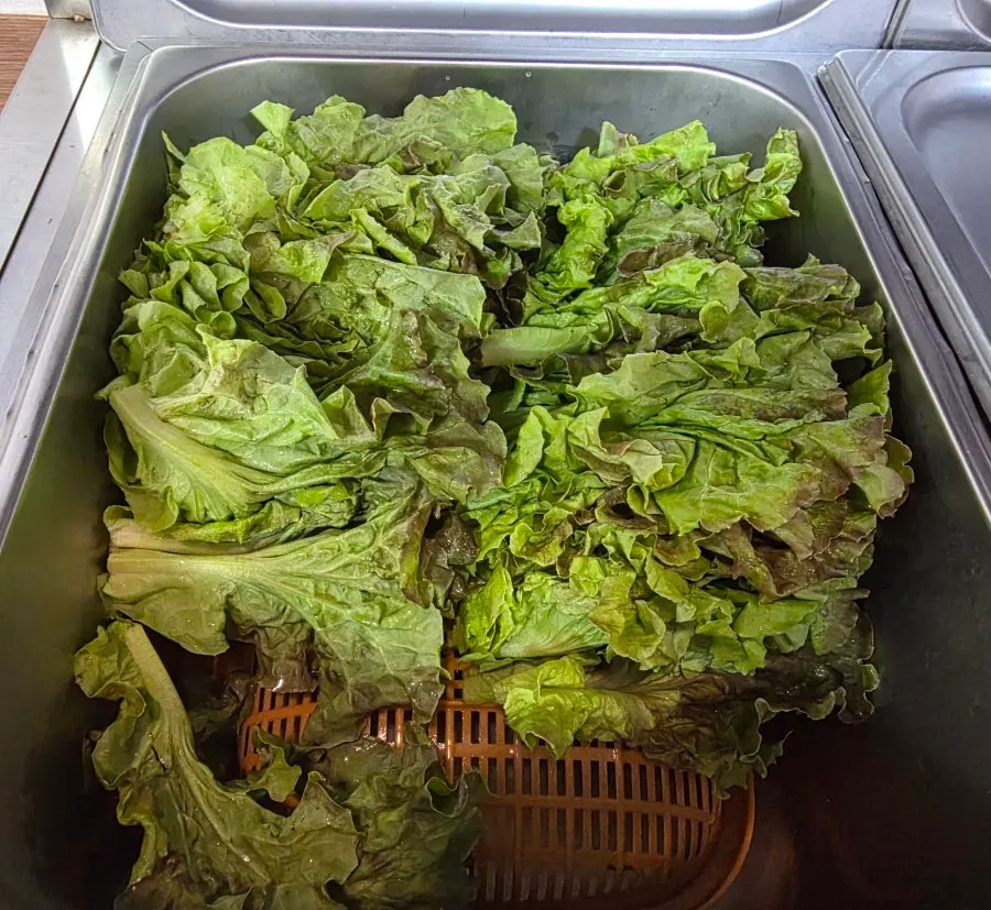 Free wrap vegetable self-bar