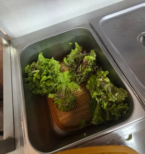 包饭蔬菜自助吧的生菜
