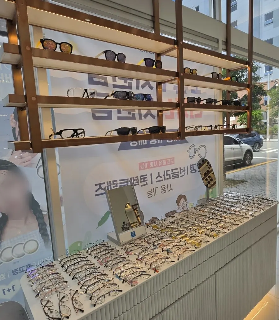 진열대에 정렬된 안경 제품들