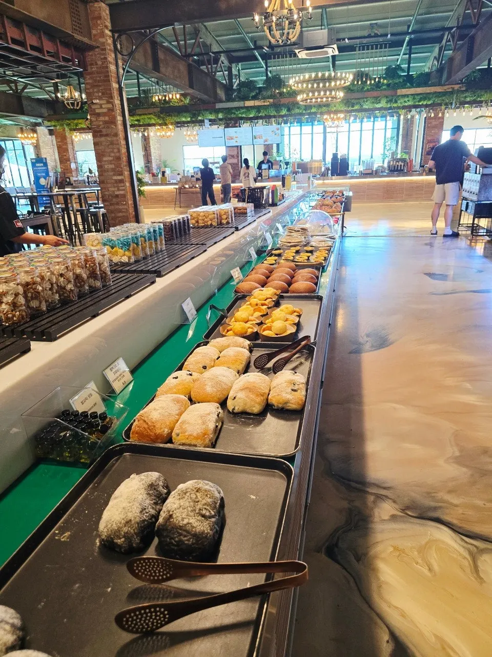 Vertical shot of the Barirus bread display case
