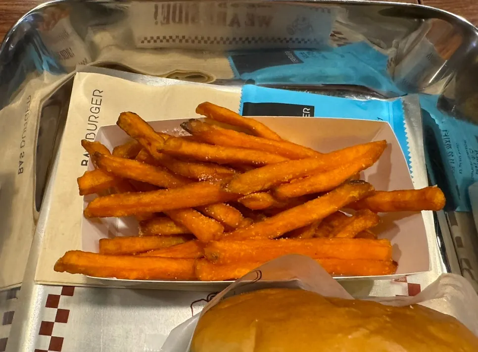 A plate of sweet potato fries
