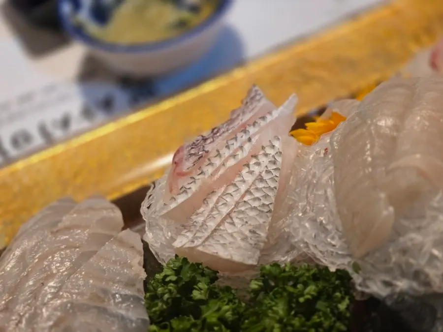 A plate of assorted sashimi including salmon