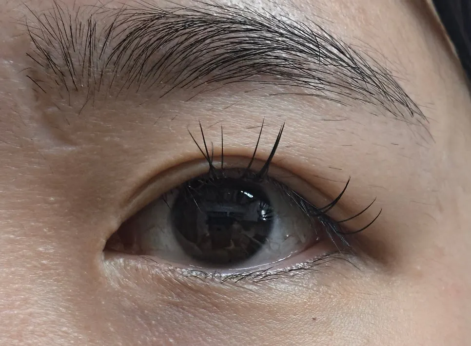 Perm-point extension lash treatment at Beauty Haze