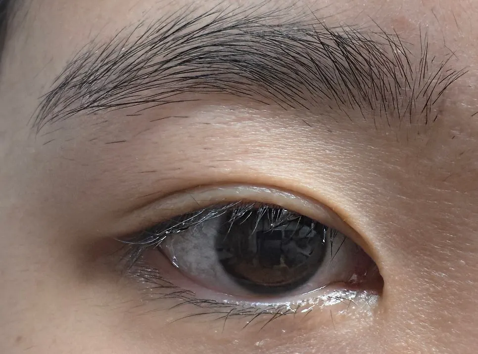 Image related to the lash treatment at Beauty Haze