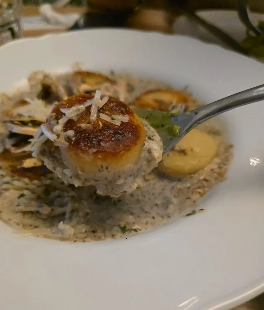 Gnocchi coated in mushroom cream sauce
