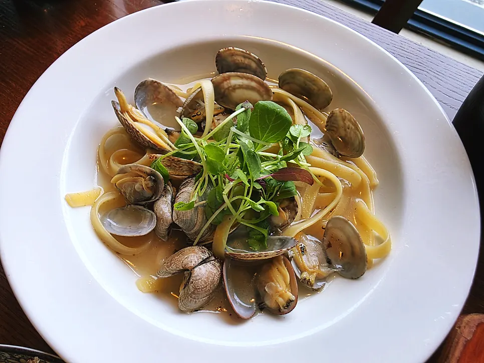 Clam hot pot served with broth and noodles