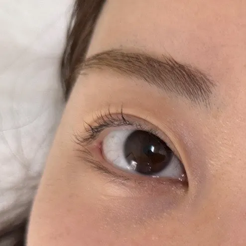 Close-up front view of the eyes right after the lash lift