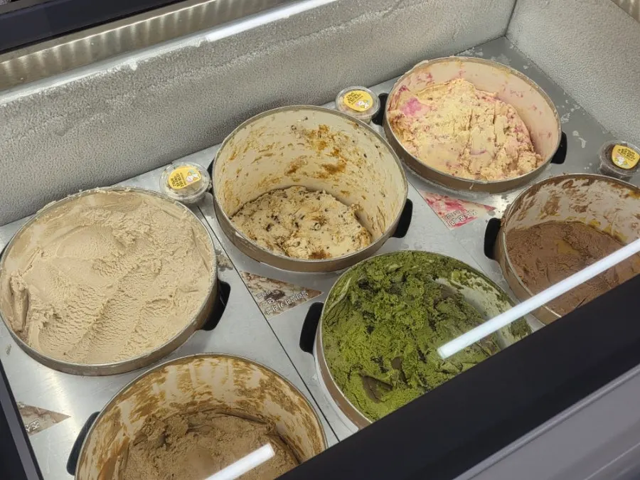 Ice cream display case with a variety of flavors
